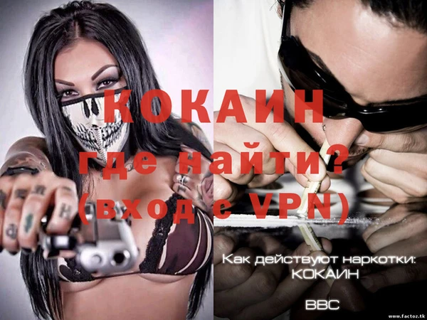 крисы Кулебаки