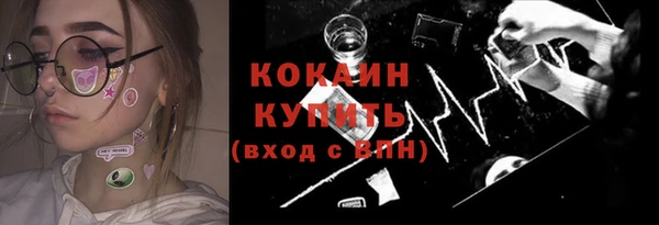 дживик Краснослободск