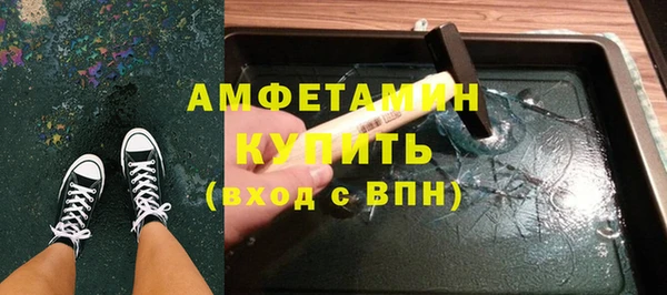 крисы Кулебаки