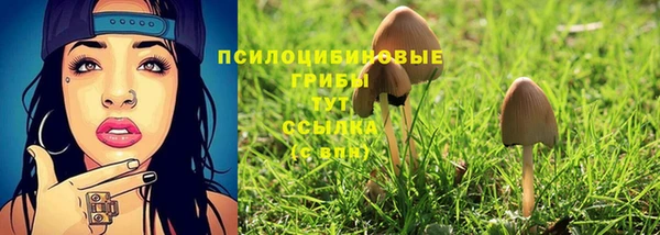 дживик Краснослободск