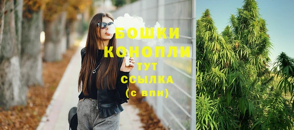 крисы Кулебаки