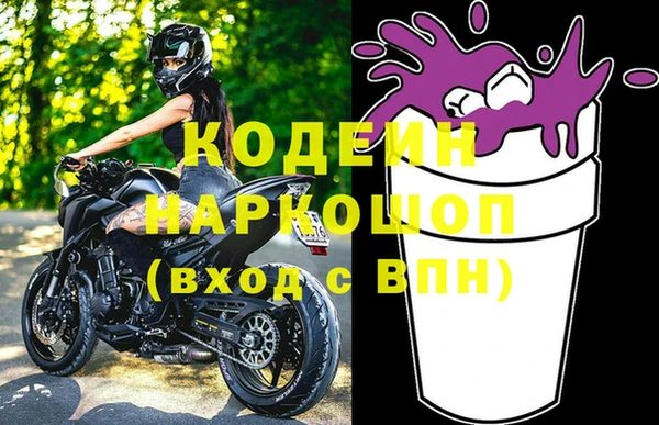 крисы Кулебаки