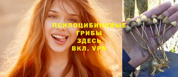 крисы Кулебаки