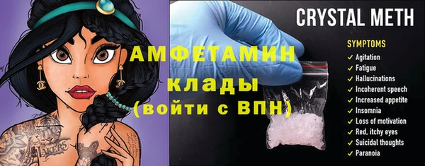 крисы Кулебаки