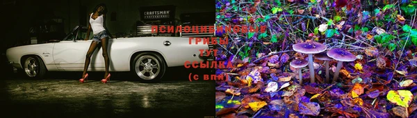 MDMA Куйбышев