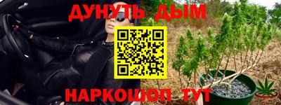 a pvp Гусиноозёрск