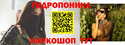 мдпв Гусев