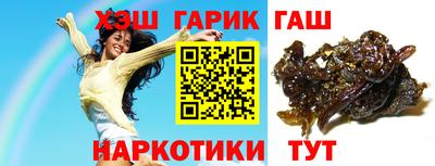 мдпв Гусев