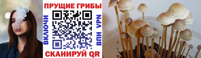 Псилоцибиновые грибы мицелий  Котовск 